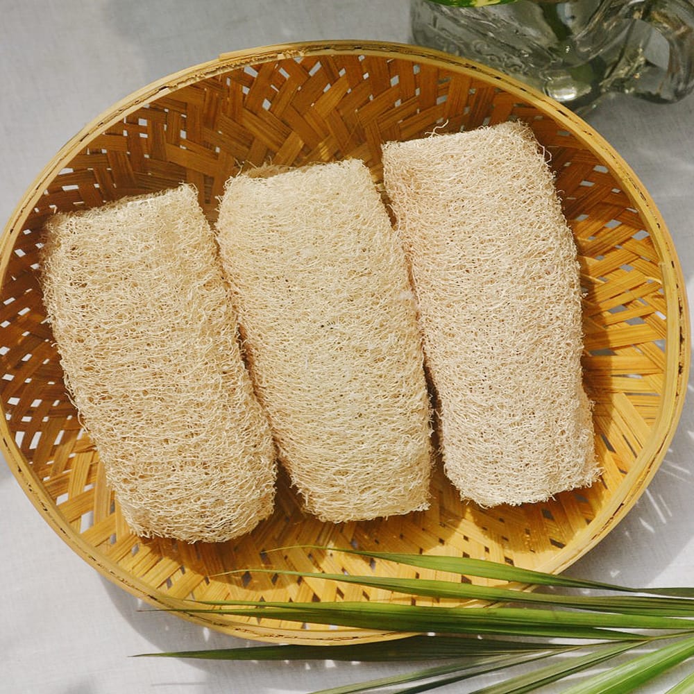 Loofah Sponge - Natural Bathing Scrub (Pack of 3)